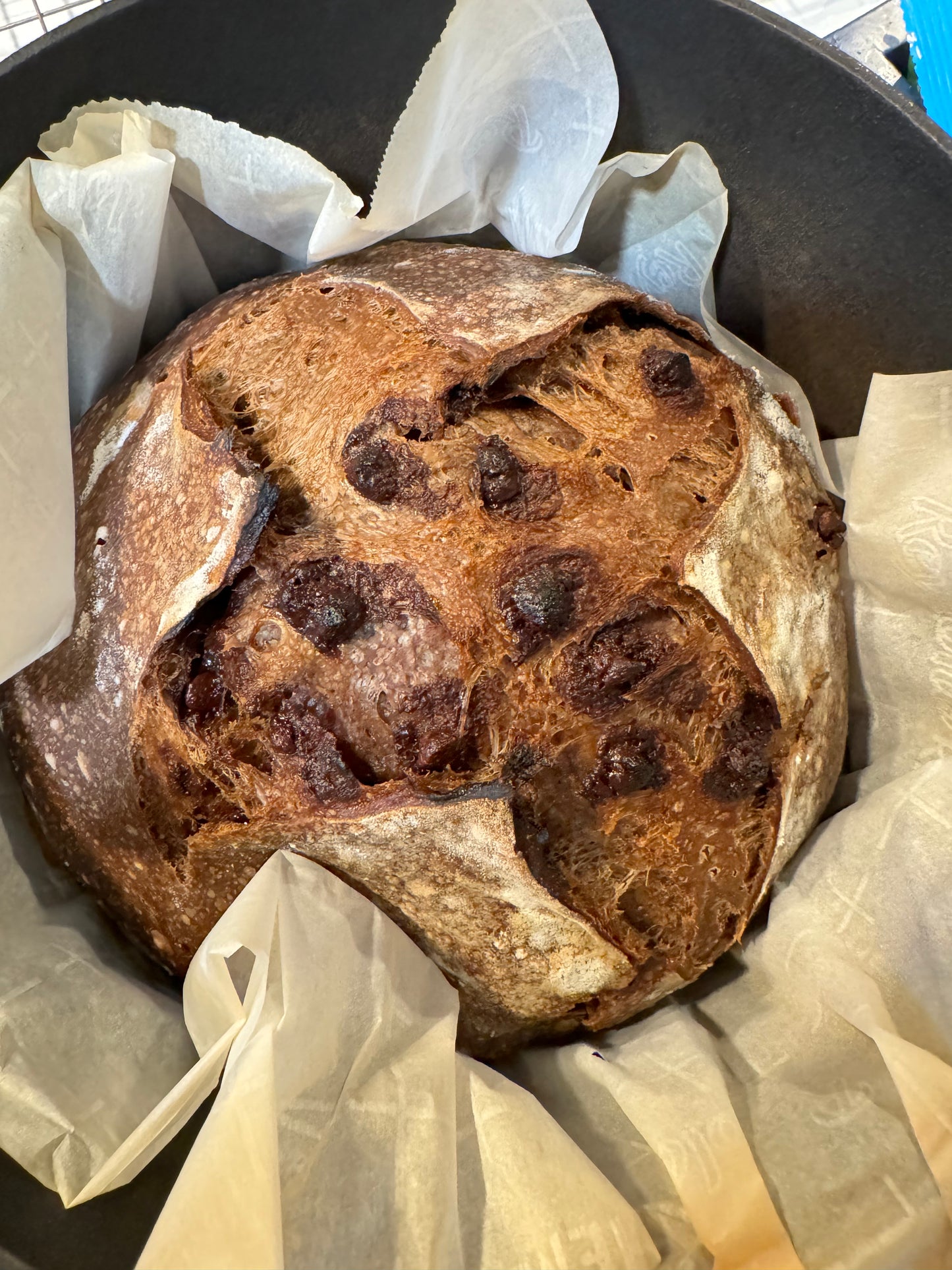 Chocolate Sourdough Loaf